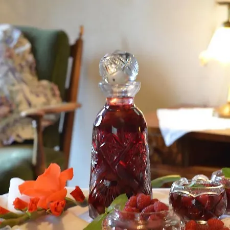 Bialy Jar 4* كارباش