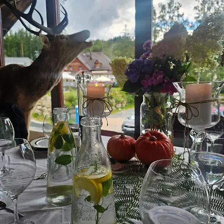 Bialy Jar 4* Karpacz